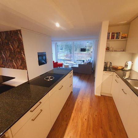 Neue Wohnung An Stadtrand Mit Parkplatz Ebikon Exterior foto