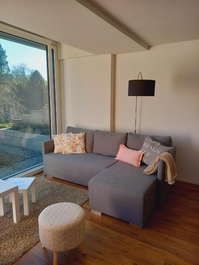 Neue Wohnung An Stadtrand Mit Parkplatz Ebikon Exterior foto