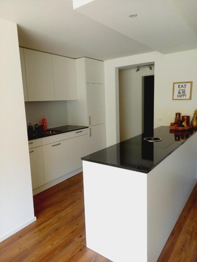 Neue Wohnung An Stadtrand Mit Parkplatz Ebikon Exterior foto